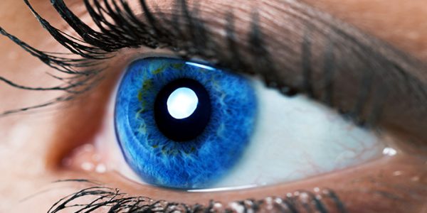 The Trick To Applying False Eyelashes