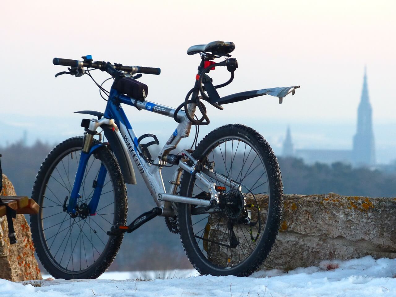 Buying Mountain Bike