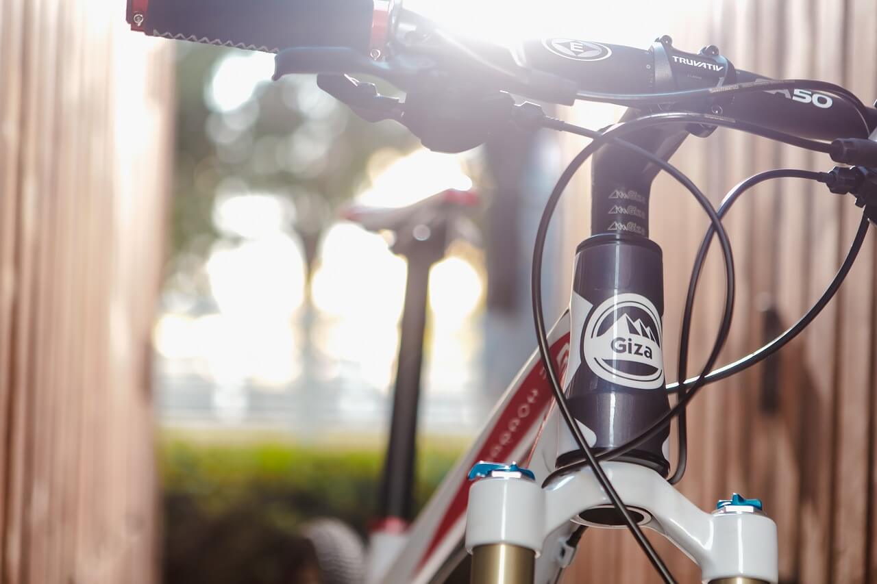 Mountain Bike Anatomy