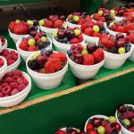 Phytonutrients Supplements